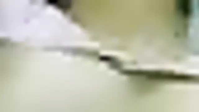 Tajik güzeli ev yapımı video kaydediyor.